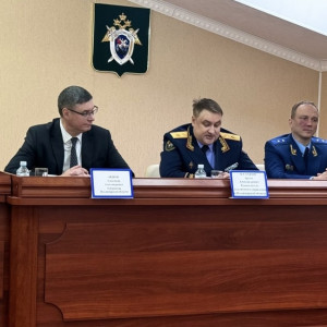 Во Владимирской области раскрываемость изнасилований составила 100%