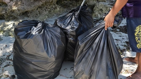 В поле под Александровом нашли свалку из мешков с бараньими потрохами