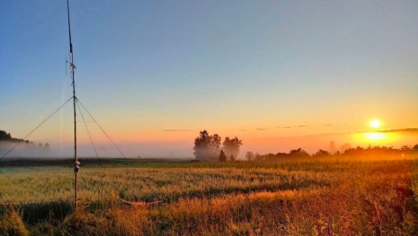 «Последний шанс на жизнь». Владимирцев позвали на поиски пропавшего неделю назад грибника