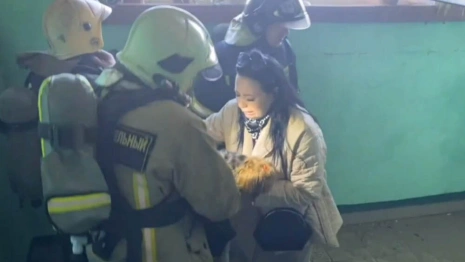 В Коврове из горящей многоэтажки спасли собаку