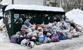 Во Владимирской области не смогли решить проблемы с вывозом мусора