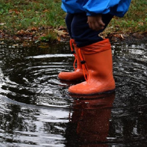 Арктический холод накроет Владимирскую область перед праздниками