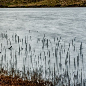Во Владимирской области спрогнозировали самый сильный за 10 лет паводок