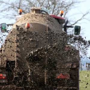 В районе Владимирской области испугались загрязнения реки навозом с фермы