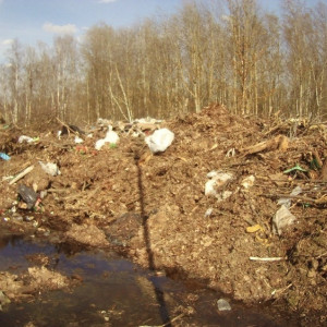 С жителя Владимирской области взыскали 5 млн рублей за захламленный участок