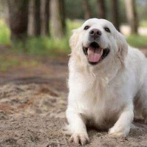 Афанасьев день: что нужно сделать 6 ноября ради обогащения и счастья