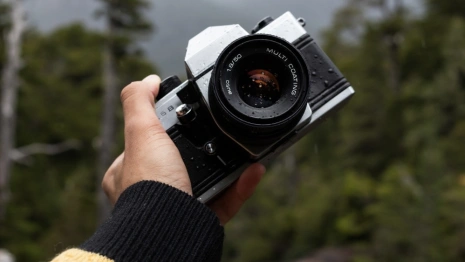 Заповедные территории России оборудуют фотоловушками