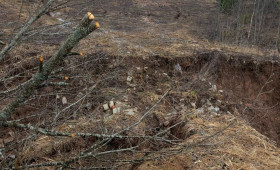 В Кольчугинском округе паводком размыло дамбу на пруду 