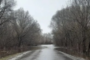 Во Владимирской области в половодье затопило мост и 4 участка дорог