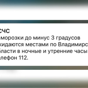 МЧС предупредило владимирцев о заморозках до -3 градусов