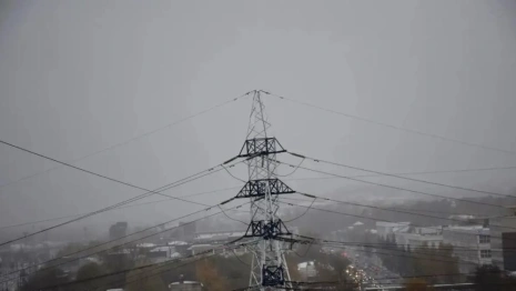 Снегопад оставил 8 районов Владимирской области без света