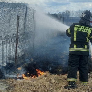 В деревне под Александровом пожар охватил 100 квадратов сухой травы