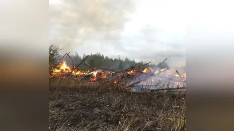 Во Владимирской области сгорел крупный склад с сеном