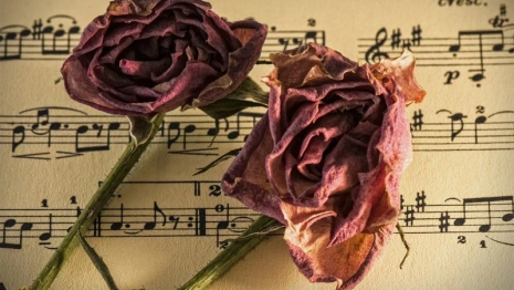 Во Владимире женщина оставила предсмертную записку и покончила с собой