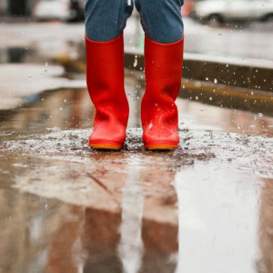 Неделя во Владимирской области закончится дождями