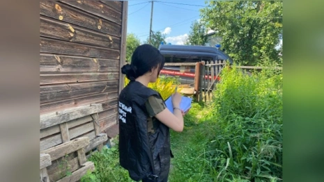 В Петушках пенсионерка зарезала 47-летнего сожителя