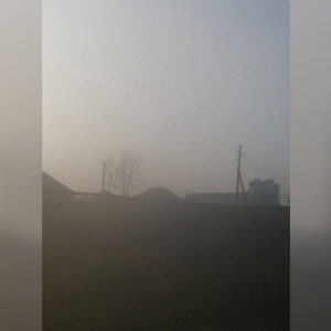 Мощный смог и невыносимая гарь накрыли село во Владимирской области