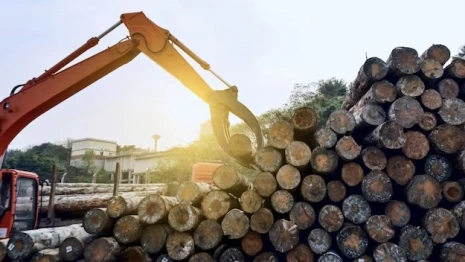 Во Владимирской области рабочий погиб под выпавшим из трактора бревном