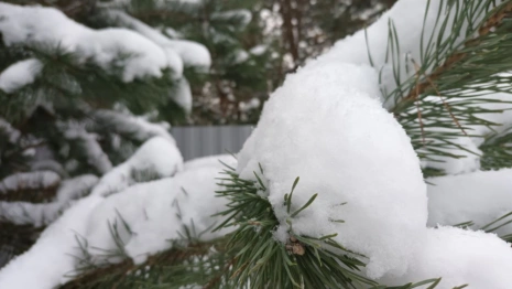 Прогноз погоды во Владимире и области на 25 ноября