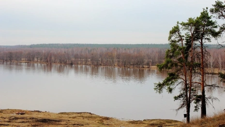 Клязьма во Владимирской области поднялась на 32 см