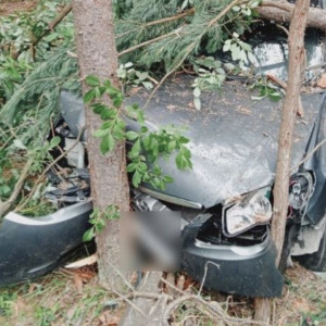 В Гусь-Хрустальном районе автомобилист погиб после столкновения с деревом