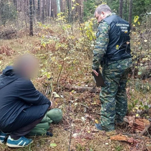 Во Владимирской области москвич во время сбора грибов зарубил жену топором