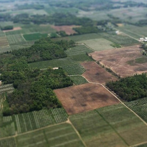 Мэр Суздаля назвал преждевременным строительство дорог к участкам для многодетных
