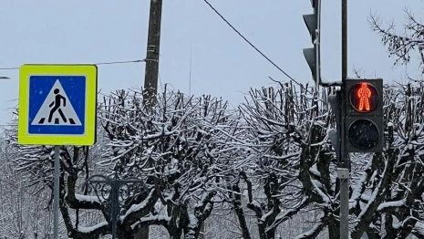 Во Владимире на пешеходных переходах зазвучат новогодние песни