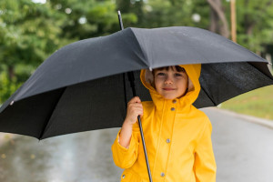 Прогноз погоды во Владимире и области на 7 июня