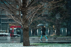 Во Владимирскую область придет резкое потепление 