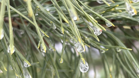 Прогноз погоды во Владимирской области на 5 февраля 2026 года