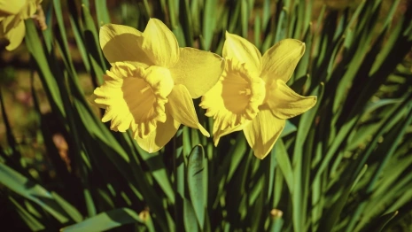 Архипов день: что можно и чего нельзя делать 4 марта