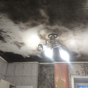 Во Владимире 105-летняя двухэтажка утонула в плесени 