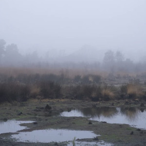 Застрял в болоте и не мог кричать. Владимирские поисковики рассказали самые яркие истории