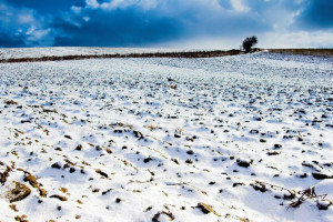 Прогноз погоды на 21 марта 2024 года во Владимире и области