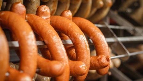 В Калмыкии во владимирских сосисках нашли геном вируса АЧС