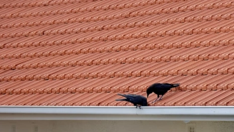 В Александрове отремонтируют крышу Торговых рядов 18 века 