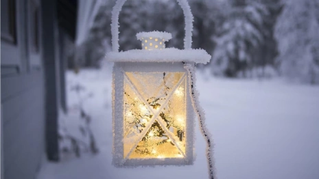 Жителям Владимирской области пообещали продолжение еврозимы 