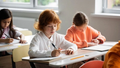 Аналитики рассказали, какие профессии чаще всего выбирают владимирские школьники