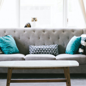 Бывшая жена экс-вице-губернатора Владимирской области потеряла квартиру