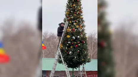 В Суздале украсили первую елку к Новому году