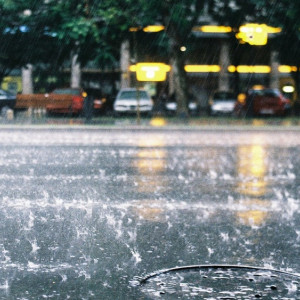 Владимирскую область накроют дожди и шквалистый ветер