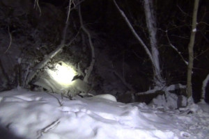 Жителя Владимира будут судить за жестокое убийство супруги табуреткой