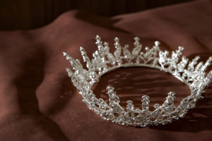 Девять жительниц Владимирской области вышли в финал конкурса «Миссис Россия-2024»