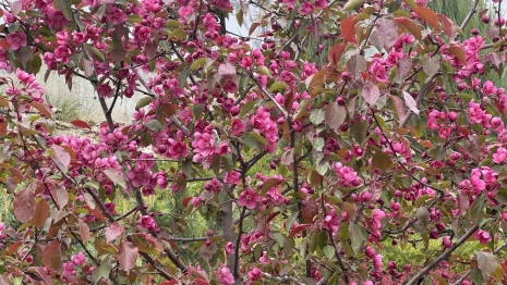 Прогноз погоды во Владимирской области на 23 мая 2025 года