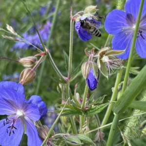 Прогноз погоды во Владимирской области на 7 июля 2025 года