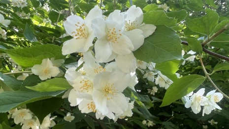 Прогноз погоды во Владимире и области на 16 мая