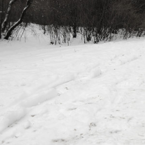 Под Владимиром нашли замерзший труп человека