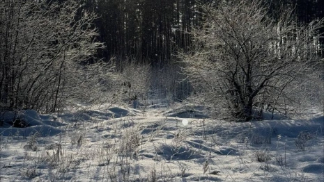 Метель и ураганный ветер обрушатся на Владимирскую область