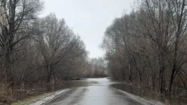 Во Владимирской области в половодье затопило мост и 4 участка дорог